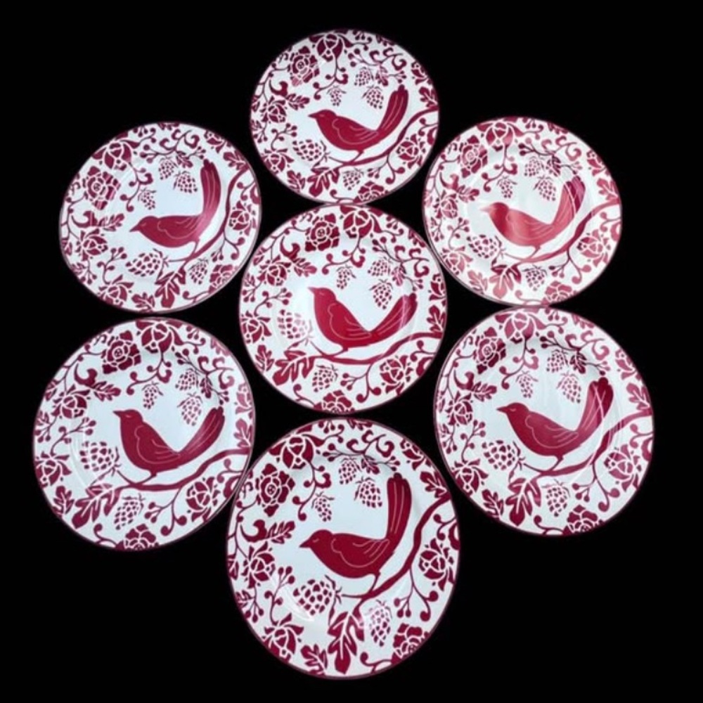 Pier 1 Red Bird Floral Stoneware Salad Dessert Plates Set of 7 8”